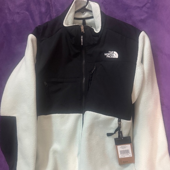 The North Face Other - The North Face Mens 1995 Retro Green Mist Denali Jacket size large